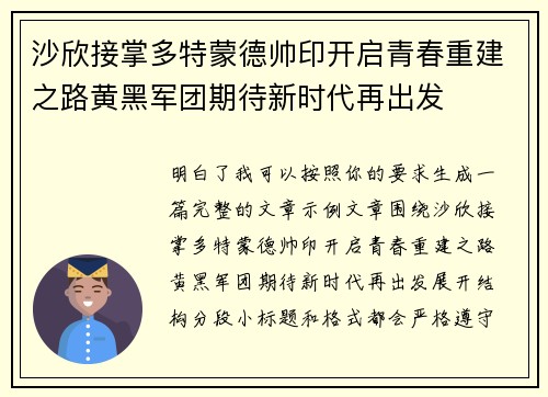 沙欣接掌多特蒙德帅印开启青春重建之路黄黑军团期待新时代再出发